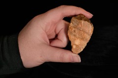 インドネシア・スラウェシ島で見つかった石器、古代人類の謎を解く新たな手掛かりか